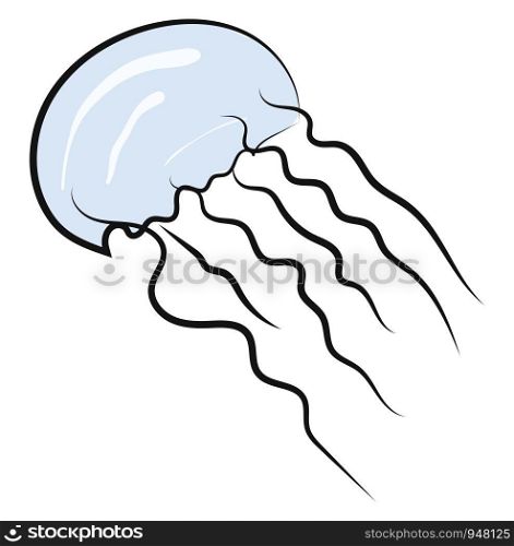 A clear jelly fish swimming in deep water with its tentacles, vector, color drawing or illustration.