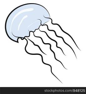 A clear jelly fish swimming in deep water with its tentacles, vector, color drawing or illustration.