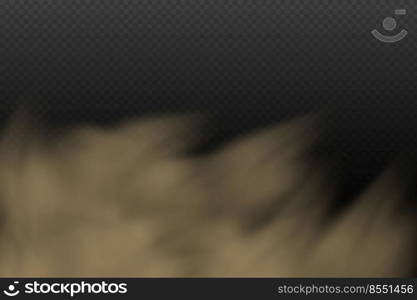 A cloud of brown dust and sand with particles of flying dry sand and dirt.Trace on a dusty road or highway from a car.Clubs of dark smoke.Realistic illustration on a transparent background.