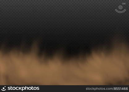 A cloud of brown dust and sand with particles of flying dry sand and dirt.Trace on a dusty road or highway from a car.Clubs of dark smoke.Realistic illustration on a transparent background.