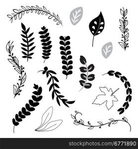 A collection of hand drawn delicate decorative vintage leaves in black and white. Vector illustration.