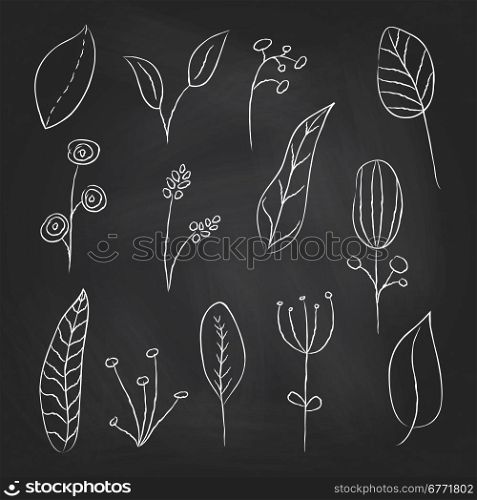 A collection of hand drawn delicate decorative vintage leaves in chalkboard background. Vector illustration.