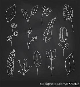 A collection of hand drawn delicate decorative vintage leaves in chalkboard background. Vector illustration.
