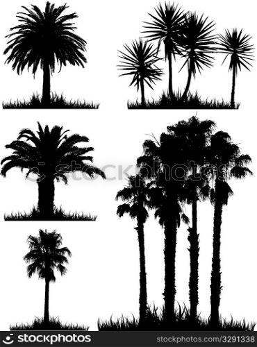 A collection of silhouettes of tropical trees