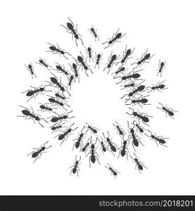 A colony of ants gathers in a circle. A group of insects around a place for a text. Vector illustration. A colony of ants gathers in a circle. A group of insects around a place for a text. Vector