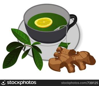 A cup of green tea with a ginger and a lemon, a tea brunch leaves vector illustration on a white background