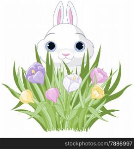 A cute Easter bunny sits in the crocus bouquet