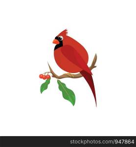 A cute fat cardinal bird with long tail sitting on a branch of cherries , vector, color drawing or illustration.