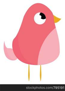A cute fat pink bird with yellow legs and yellow beak vector color drawing or illustration