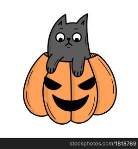 A cute gray cat sits in a pumpkin for Halloween. Doodle style illustration