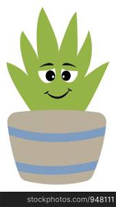 A cute home plant in a pot which is designed , vector, color drawing or illustration.