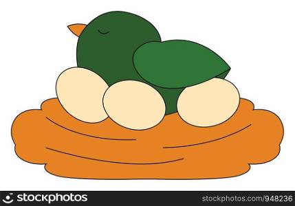 A cute little green chick with orange bill relaxing on a nest with three eggs while eyes closed over white background viewed from the side, vector, color drawing or illustration.
