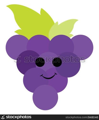 A cute purple grapes which are ripe with fresh green leaves , vector, color drawing or illustration.