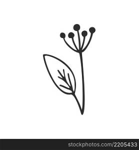 A dill branch isolated on a white background. Contour vector Doodle illustration of a flower and leaf of a plant. Logo element, hand-drawn pencil sketch. Vintage wedding decor invitations and cards