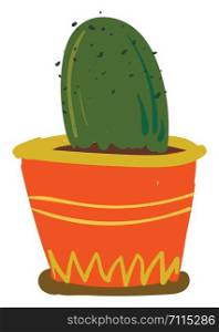 A dome shaped cactus plant vector or color illustration