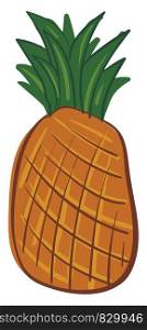 A drawing of a whole orange pineapple with green leaves on the top vector color drawing or illustration
