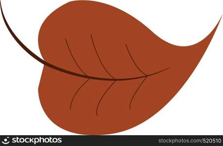 A dry brown leaf vector color drawing or illustration