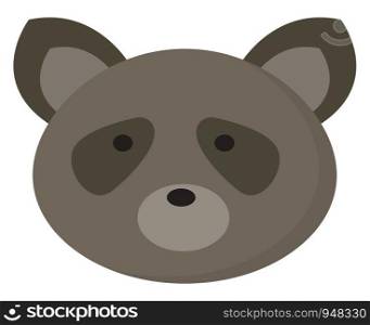 A face of a raccoon in shades of radiant grey colors with short ears and oval snout set isolated on white background viewed from the front, vector, color drawing or illustration.