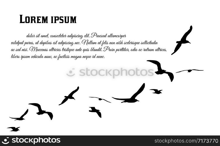 A flock of flying birds poster. Flying birds on white background with space for your text, vector illustration