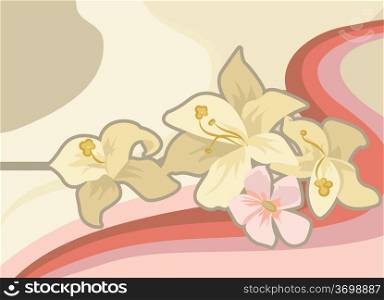 A Floral background