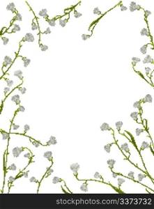 A floral frame from flowers and leaves over white