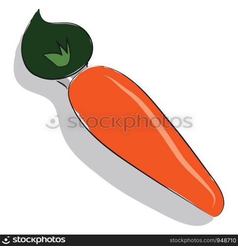 A fresh orange carrot, vector, color drawing or illustration.