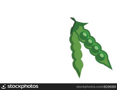 A fresh pea pod vector or color illustration