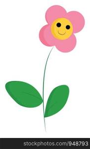 A fresh plant with bright smiling pink flower, vector, color drawing or illustration.
