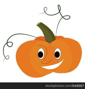 A fresh raw smiling pumpkin, vector, color drawing or illustration.