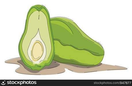 A full chayote and a sliced chayote which is sliced half , vector, color drawing or illustration.