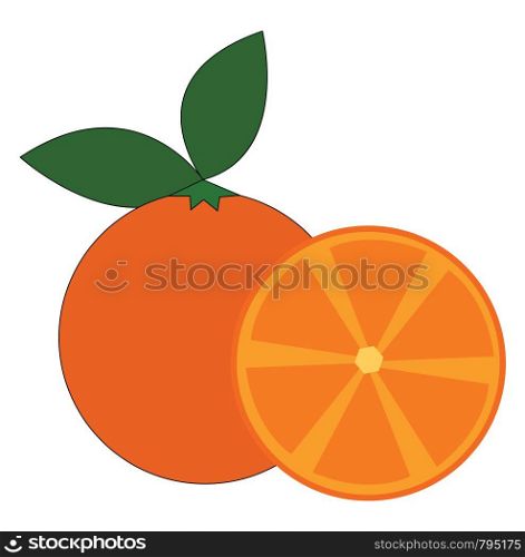 A full orange and a slice of orange near it vector color drawing or illustration