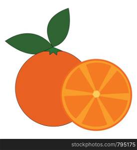 A full orange and a slice of orange near it vector color drawing or illustration