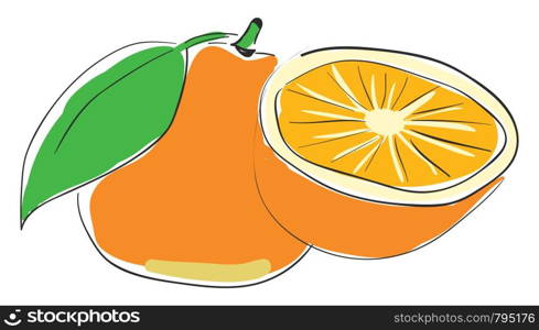 A glass of orange juice which is freshly prepared vector color drawing or illustration