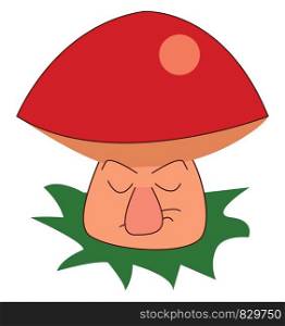 A grumpy mushroom plant vector or color illustration