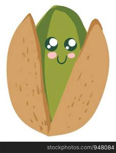 A happy cute green pistachio which is about to open from its shell , vector, color drawing or illustration.