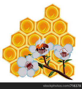 A honeycomb and a bee on a flower vector illustration on a white background isolated