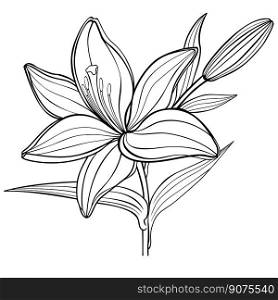 A lily flower with a bud. black and white. linear drawing. coloring book for adult and older children	