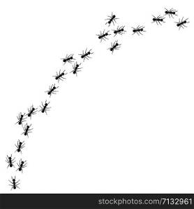 A line of worker ants marching in search of food. Vector illustration