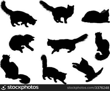 A lot of silhouettes of cats
