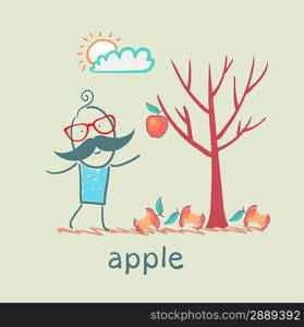 a man stands with a tree on which one apple