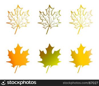 A maple leaf in red, yellow, orange, and green colors.. A maple leaf in yellow, orange, and green colors. Autumn leaves set