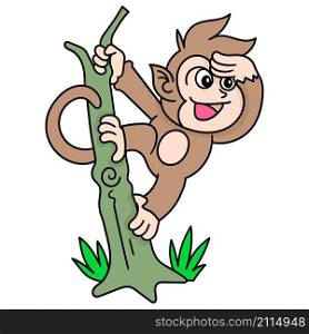 a monkey playing hanging on a tree