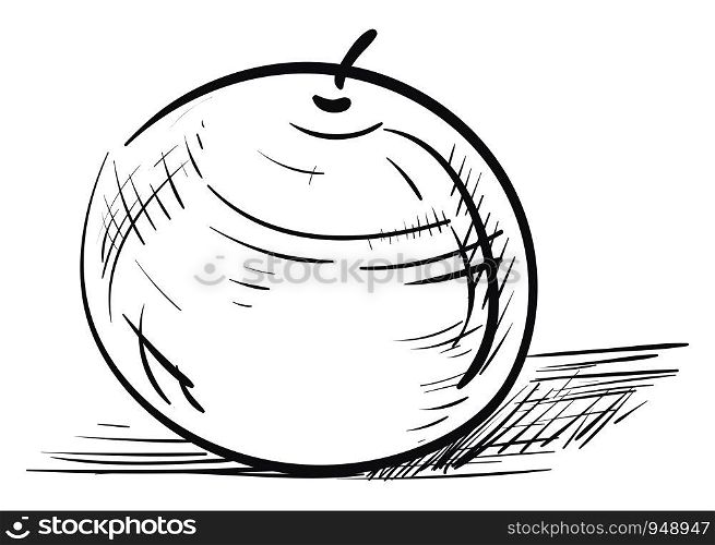 A neat sketch of an orange in a paper, vector, color drawing or illustration.