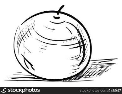 A neat sketch of an orange in a paper, vector, color drawing or illustration.