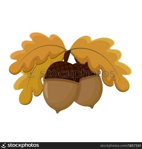 A pair of acorns on a branch with yellowed leaves vector illustration. Autumn fruits are oaks. Fall forest gifts. Cartoon, isolated object.. A pair of acorns on a branch with yellowed leaves vector illustration.