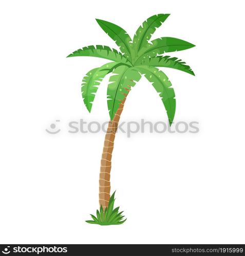 A palm tree isolated on white background. Goconut tree. Vector illustration in flat style. A palm tree