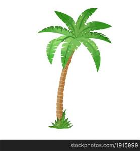A palm tree isolated on white background. Goconut tree. Vector illustration in flat style. A palm tree