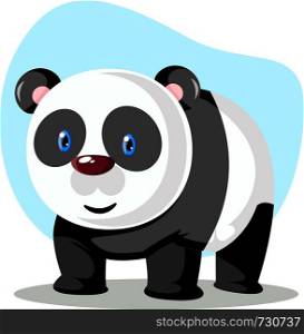 A Panda in white and black color with pink ears, in sky-blue background, vector, color drawing or illustration.