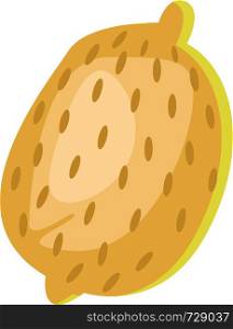 A Papaya fruit with dots in orange color, vector, color drawing or illustration.