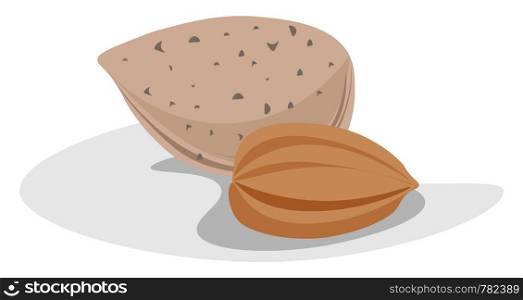 A picture of a brown almond, vector, color drawing or illustration.